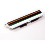 Tête d'impression Toshiba FMBB0036203